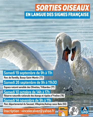 Sorties ornithologiques en LSF