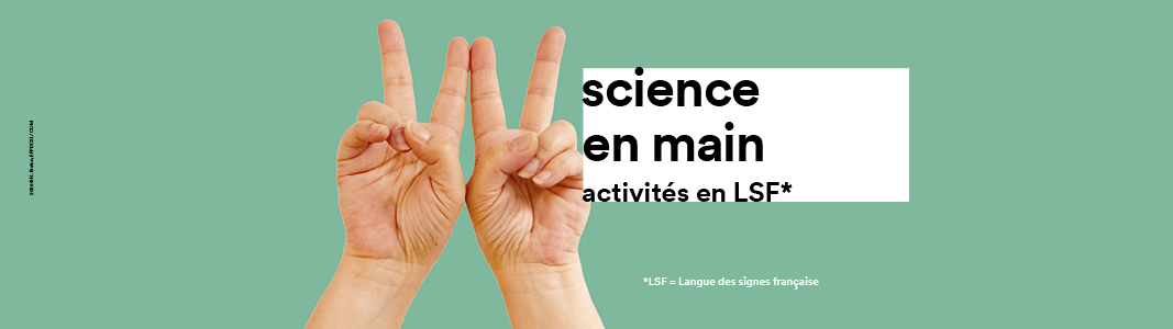 Rencontre : Les oiseaux nous rassemblent, mon expérience à la LPO